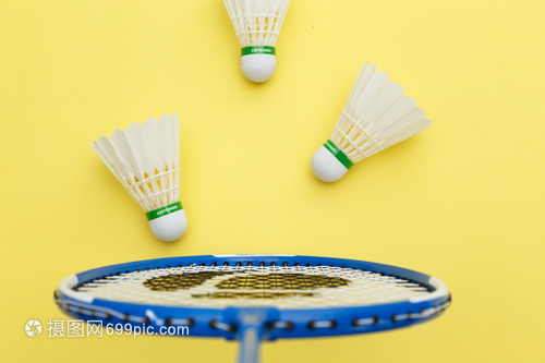 成功夺冠 成功夺冠