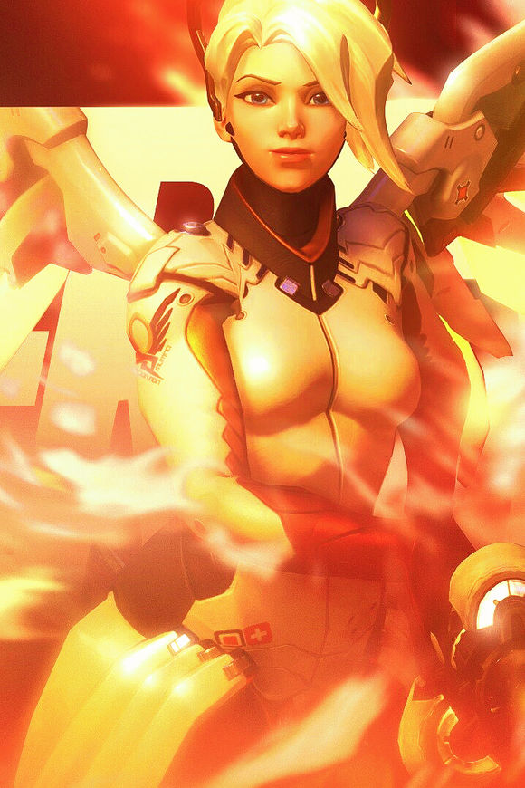 夏洛特黄蜂 夏洛特黄蜂